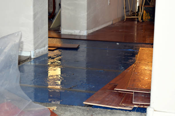 Professional Burst Pipe Cleanup technician working in Chama, NM